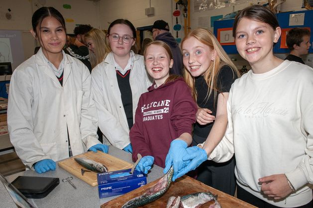 , Autour des districts : de Coolgreany à Kilanerin-Ballyfad
et supplication pour commencer la journée.