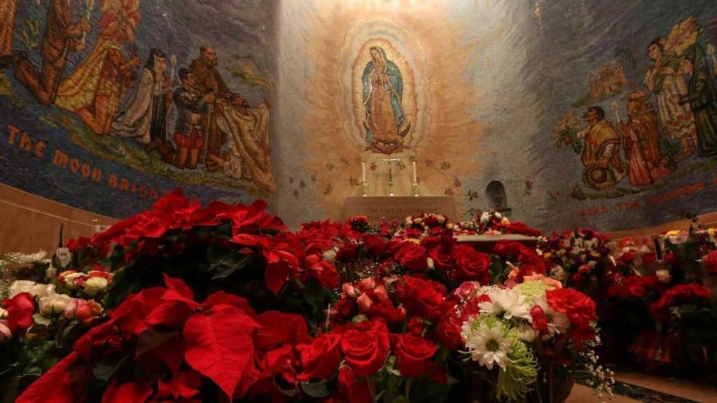 Les évêques américains discutent de leur adhésion à la neuvaine de Guadalupe
avec une requête du matin.